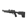 Carabine PCP Crosman Icon